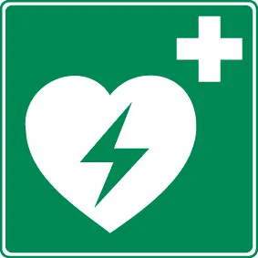 Holthaus Rettungszeichen „Defibrillator“  nachleuchtend  20 cm x 20 cm