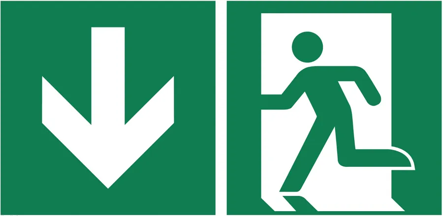 Holthaus Rettungszeichen "Notausgang" nachleuchtend 200  x 400 mm